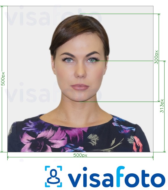 Exemple de foto per a Targeta d'identitat de la Universitat de Virgínia 500x500 px amb la mida exacta especificada