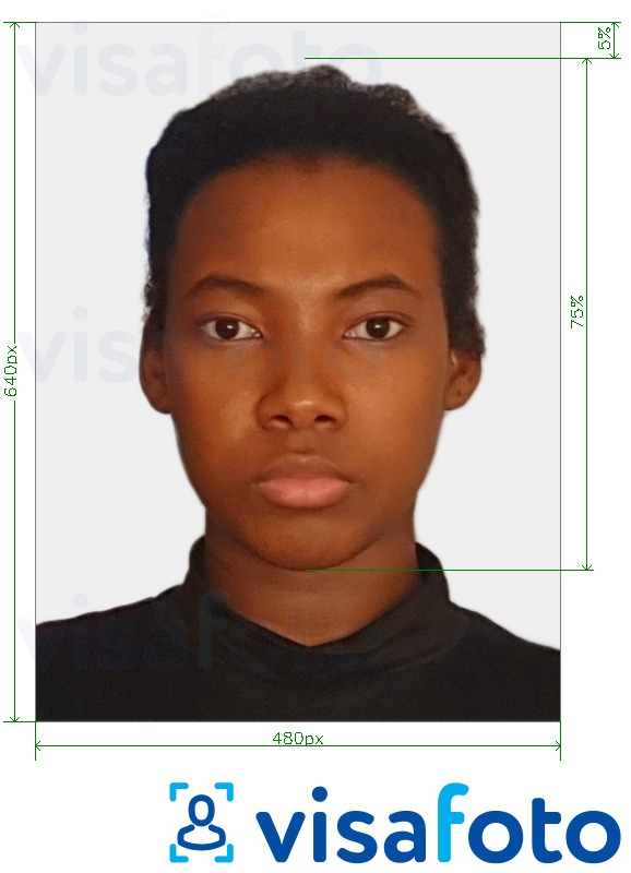 Exemple de foto per a Passaport de Bahames de 480x640 píxels amb la mida exacta especificada
