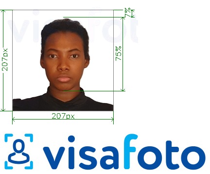 Exemple de foto per a Visa de Kenya 207x207 píxels amb la mida exacta especificada