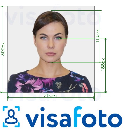 Exemple de foto per a Targeta d'identitat de Southeastern en línia 300x300 px amb la mida exacta especificada