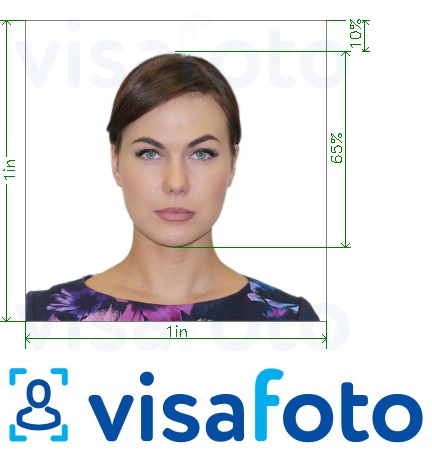 Exemple de foto per a Examen de barres dels EUA de 300x300 píxels amb la mida exacta especificada